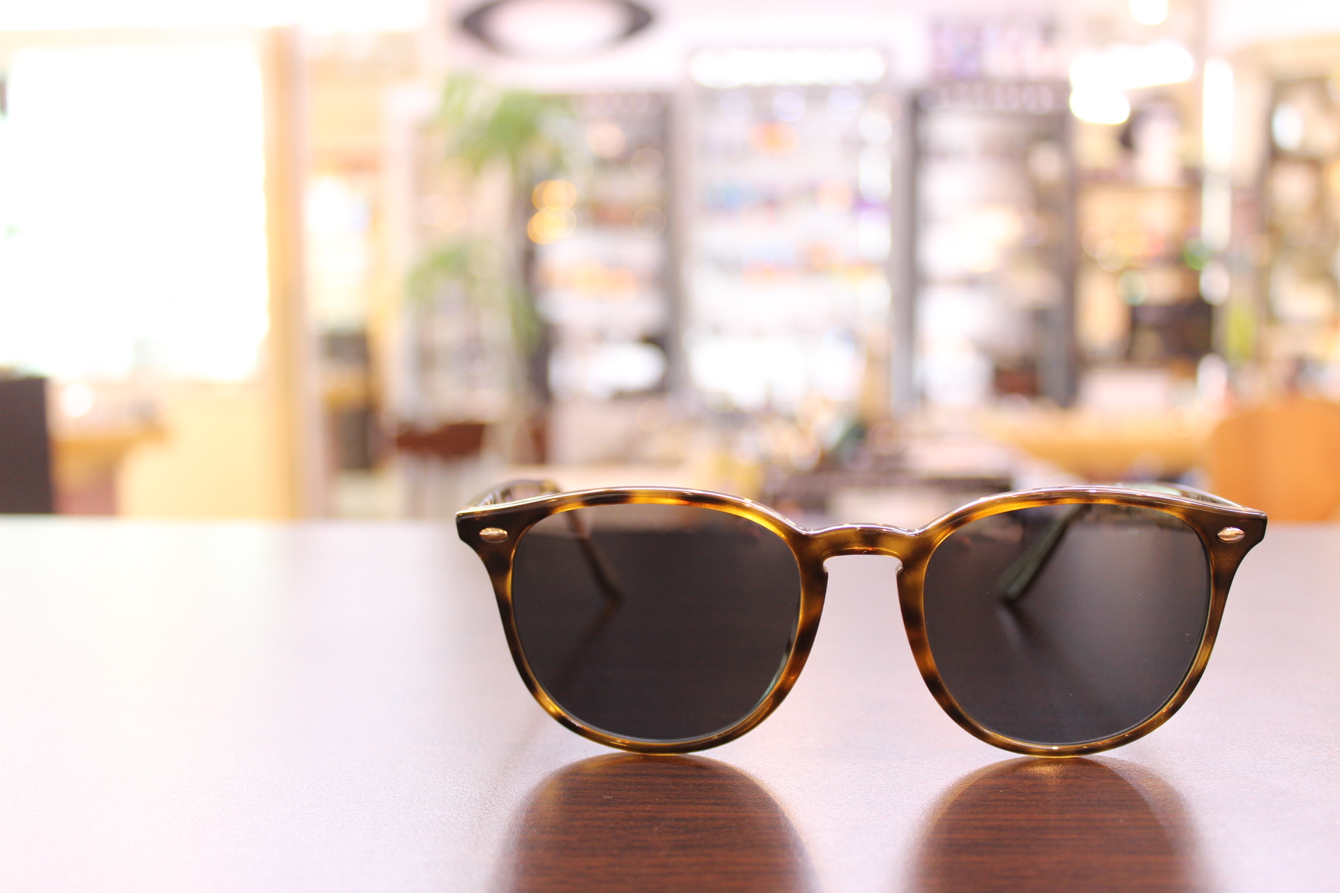 TALEX偏光レンズでサングラスをカスタマイズ、素敵なサングラスが